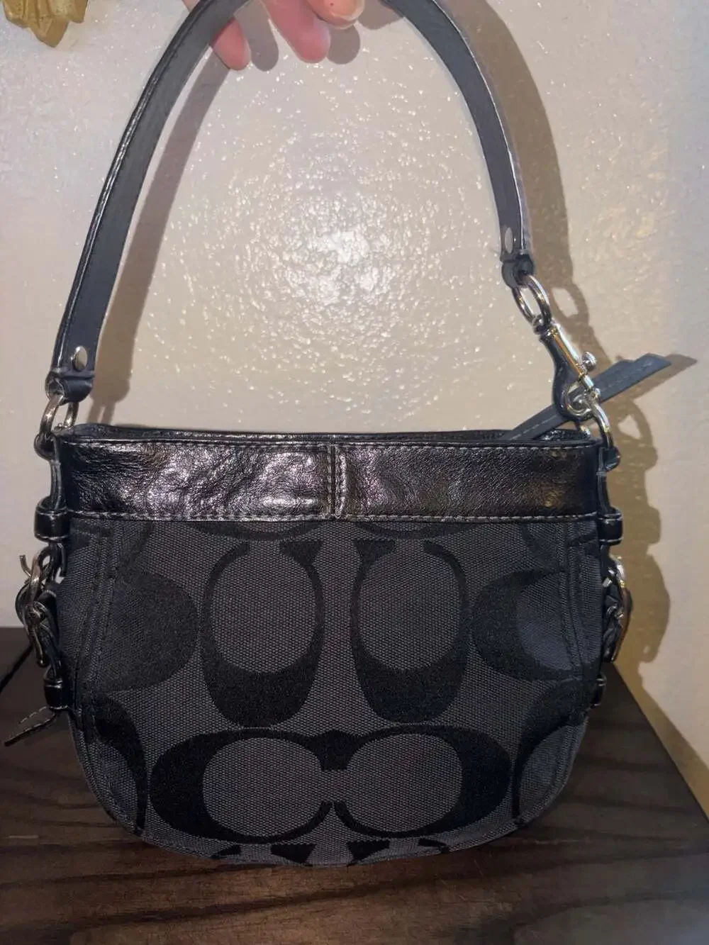 Coach Signature Canvas Zoe Mini Bag
